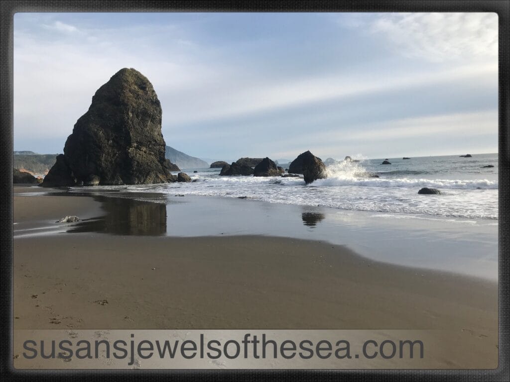 Beach in Southern Oregon