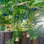 Sea Glass Sun Catcher 2, view