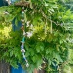 Sea Glass Sun Catcher D