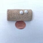 Pearl stud earrings, size