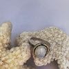 Silver moonstone ring, view