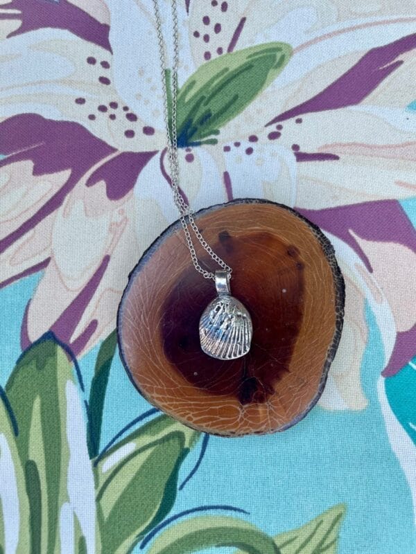 Silver clam shell necklace,on wood