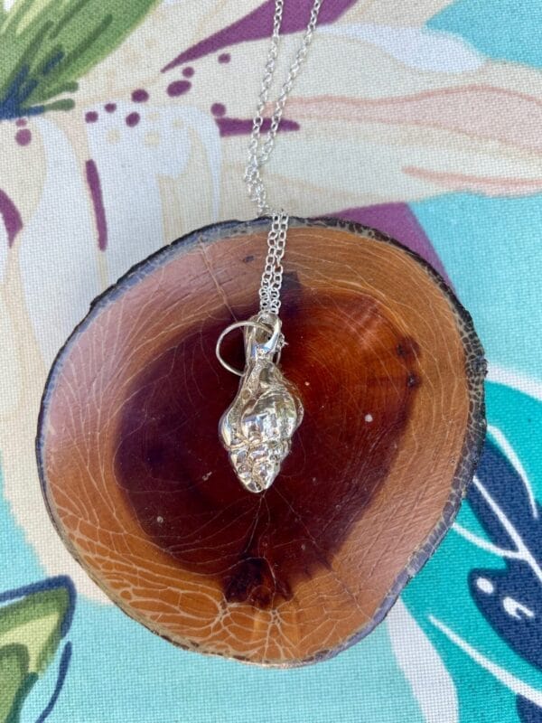 Silver shell necklace