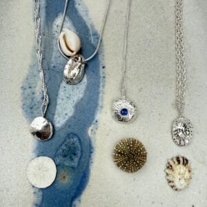 Silver Shell Collection